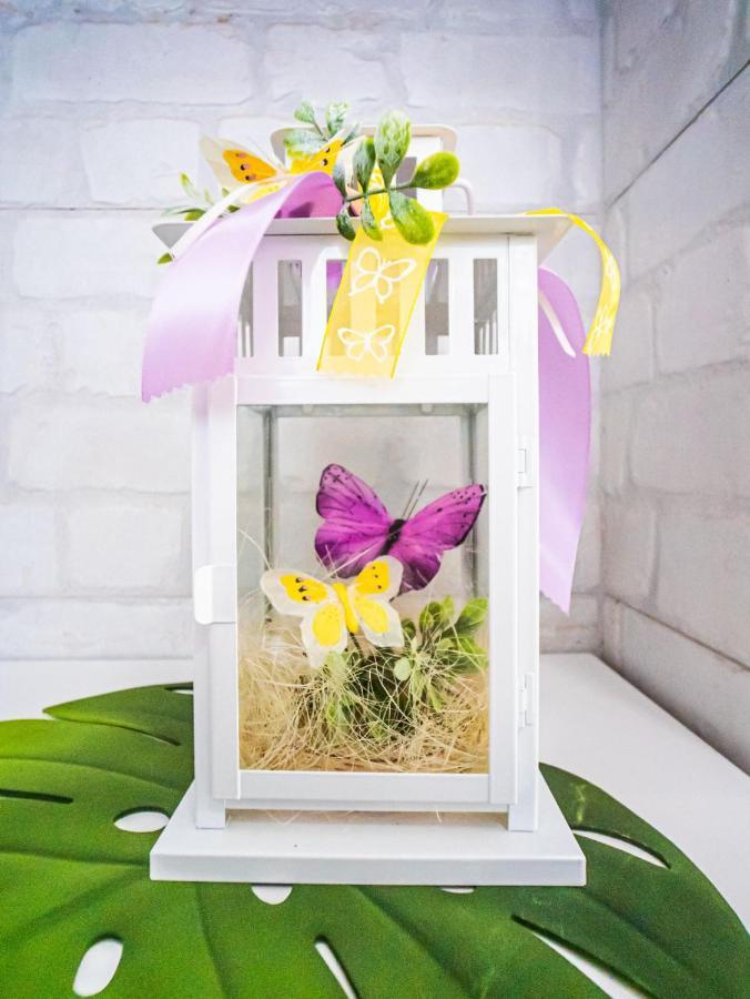 Mariposa En Frontera/Primavera 德尔锡伦西奥海岸 外观 照片